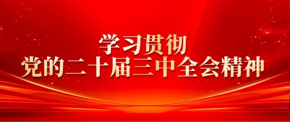 學(xué)習(xí)貫徹黨的二十屆三中全會(huì)精神② 產(chǎn)發(fā)園區(qū)集團(tuán)董事長(zhǎng)劉孝萌：抓好“建、招、儲(chǔ)、運(yùn)”,建設(shè)高質(zhì)量產(chǎn)業(yè)園區(qū)